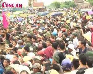 Những pha chọi trâu gay cấn