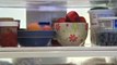 Tips For Organizing Refrigerators