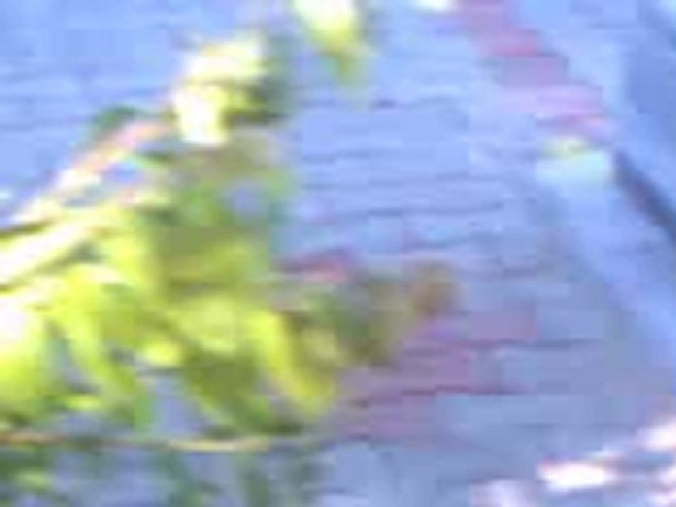 ŞEHİTLERİMİZ KIRIKHAN ŞEHİTLİK ABİDESİ