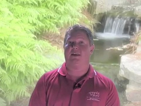 New Pool Tips to know for In ground Pools Indianapolis