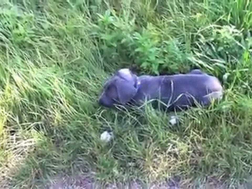 Hugo, fritz & albert - die kleine runde