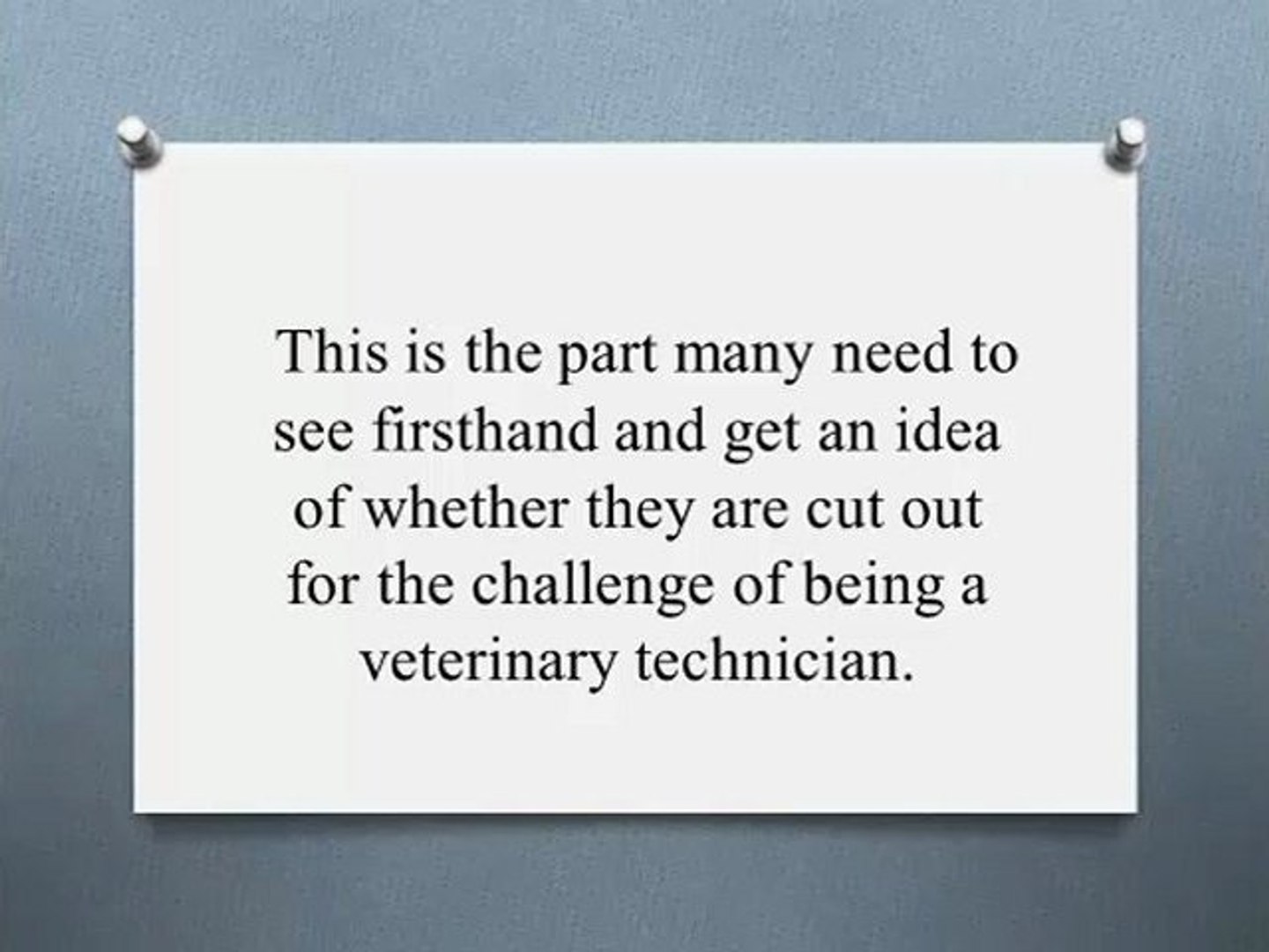 ⁣Veterinary Technician Occupation And Training