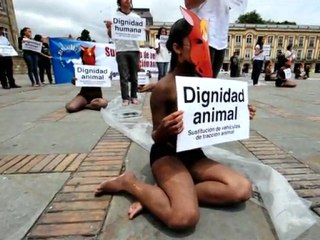 Protesta contra vehículos a tracción animal