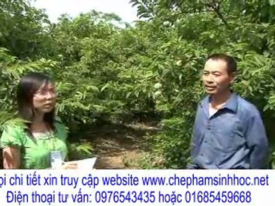 kết quả sử dụng chế phẩm sinh học tại tỉnh Ninh Bình