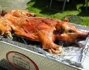 How Do You Roast Chicken With The Best Roaster?