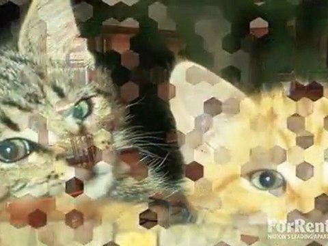 Paces Crossing Apartments in Norcross, GA - ForRent.com