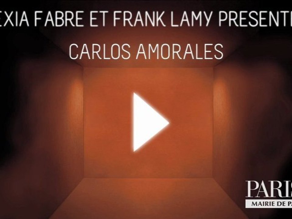 64 - Carlos Amorales - Black Cloud, 2007