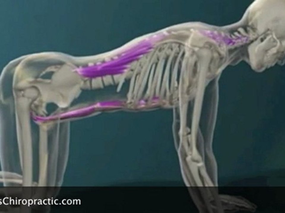 Singapore Chiropractic-Spinal Mobilization