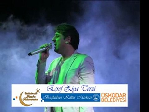 Eşref Ziya Terzi - Olmadı Dost