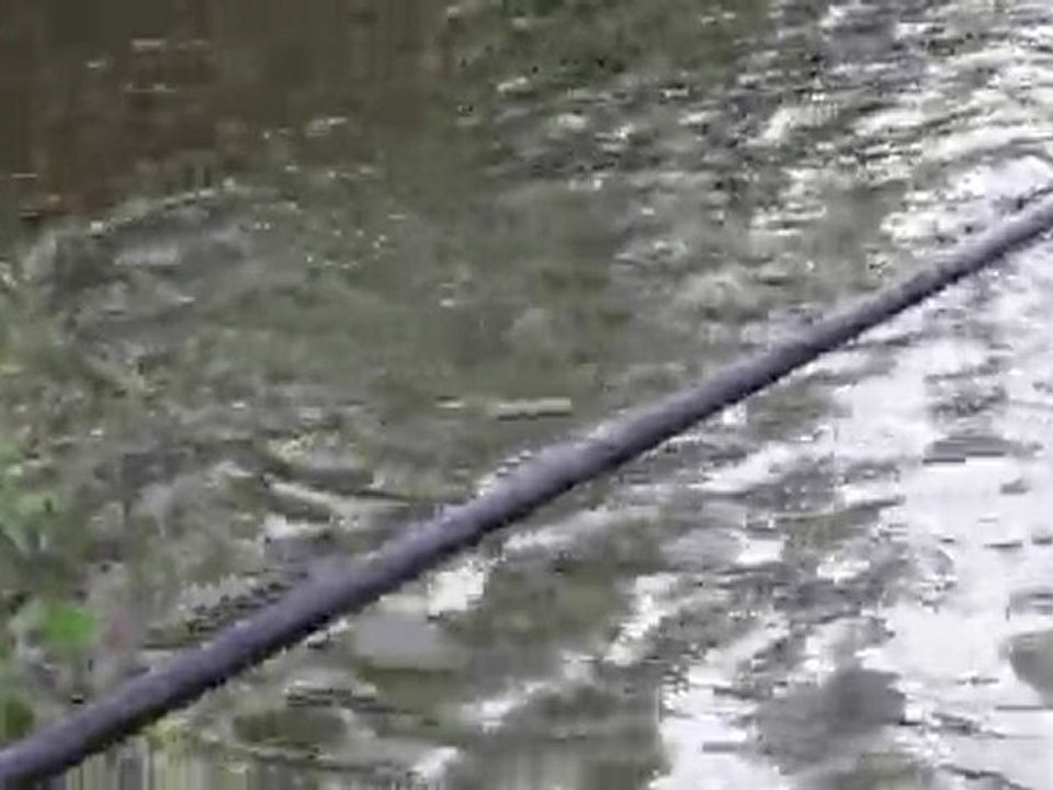 [Pêche carpe au coup] mission suicide 2