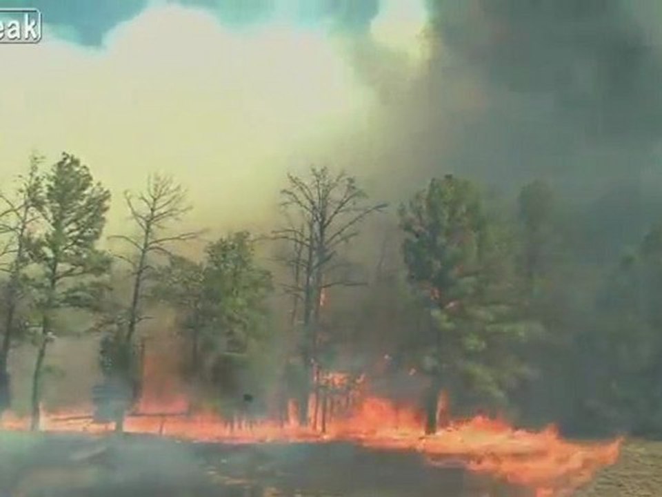 Dies ist, wie schnell das Monster Brand in Texas ist in Bewegung.