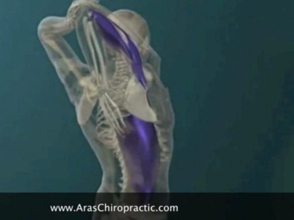 Singapore Chiropractic-Triceps Stretch