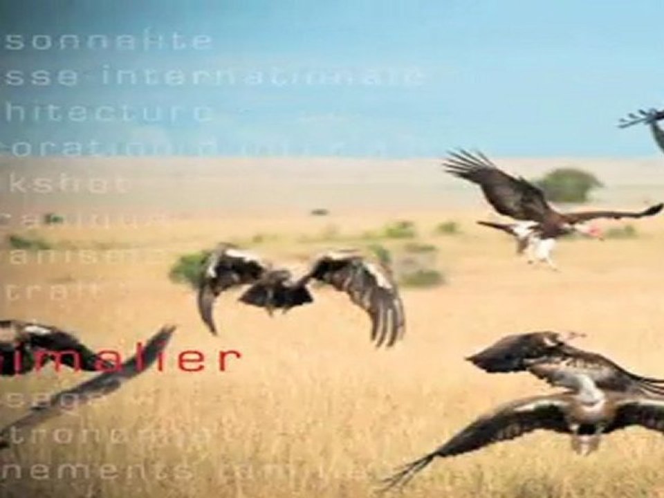 Photo d'entreprise Agence audiovisuelle Tachkent productions 02 Audiovisuel d'entreprise Photo d'entreprise Coaching Musique Théatre d'entreprise