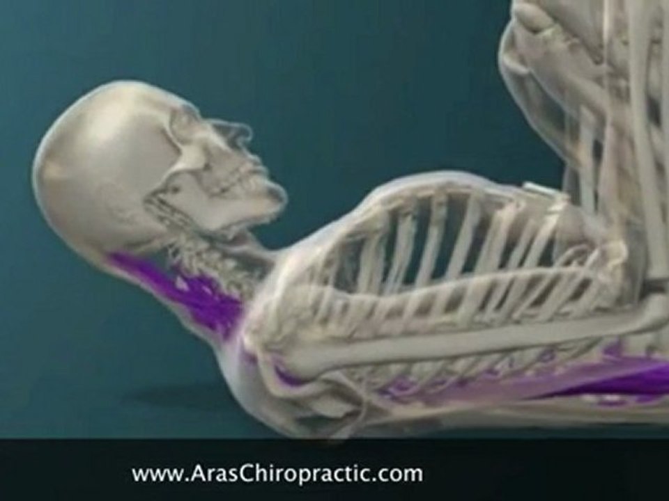 Singapore Chiropractic-Spinal Roll