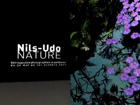 Exposition Nils-Udo. NATURE , 30 mai - 1er octobre 2011