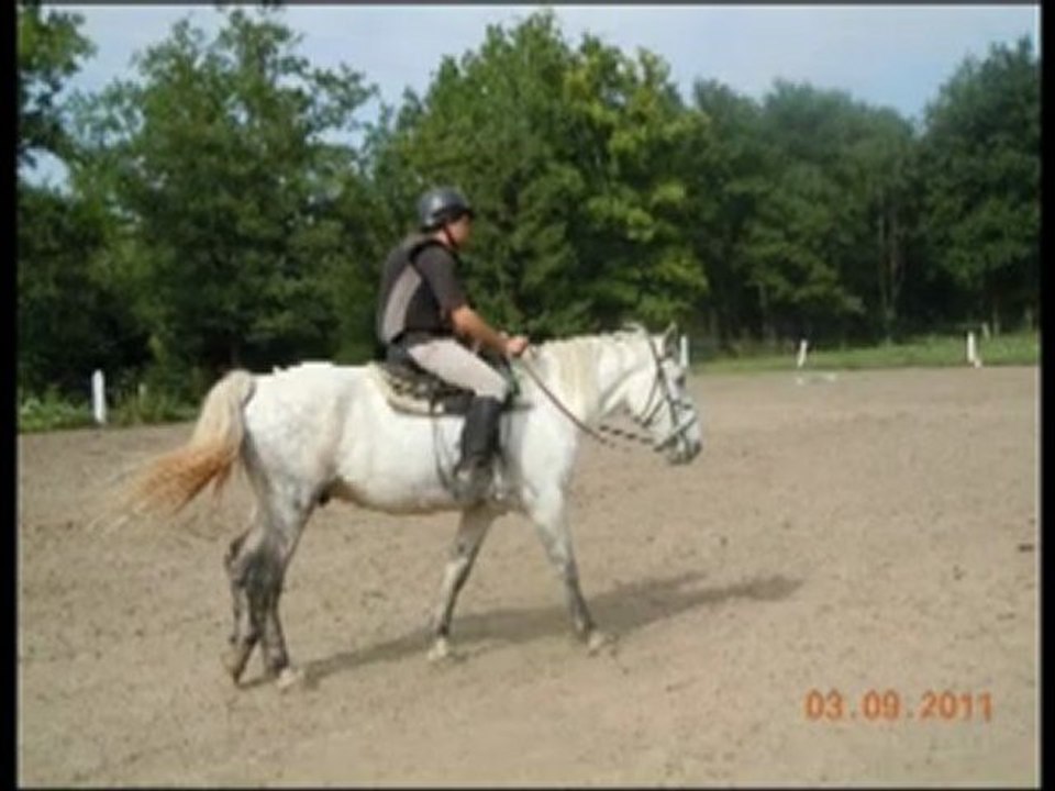 moment équestre avec mon ange