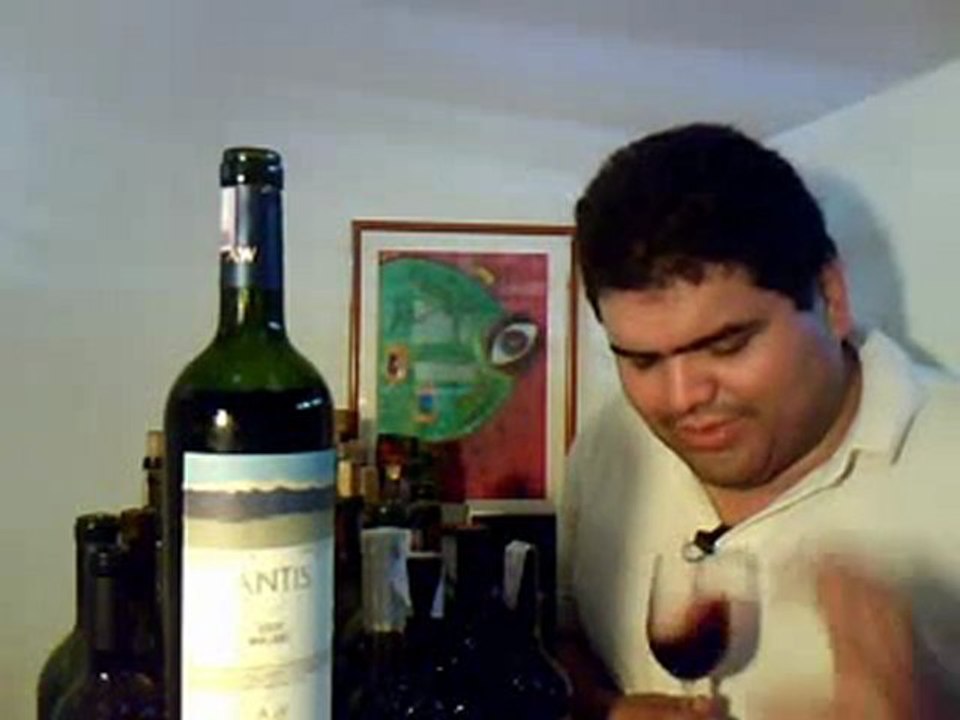 Bodegas Andinas Malbec Antis 2009