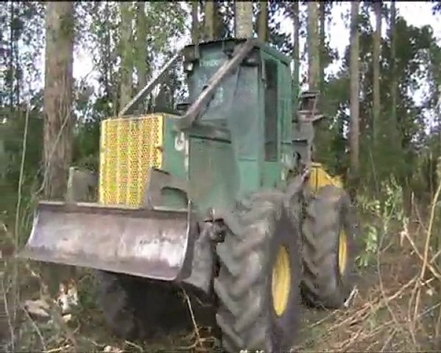 Débardage de peupliers