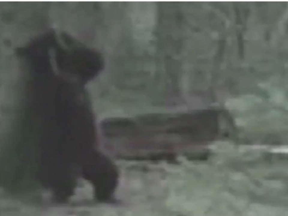 Comedy Show Jay Hind! Anil Kapoor's Exclusive Unreleased MI4 Footage Leaked