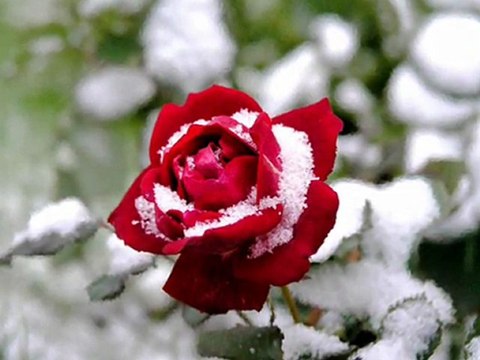 Candan Erçetin - Söz Vermiştin Bana / Aşk Şarkıları / 2011