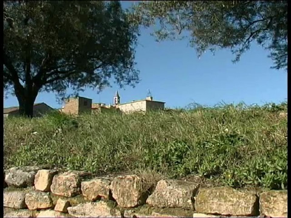 Extrait conférence Pierre RABHI le 16 juillet 2011 à Saint Alexandre