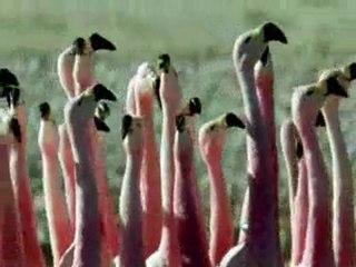 Our Home Planet Earth