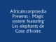 Magic system Feat les elephants