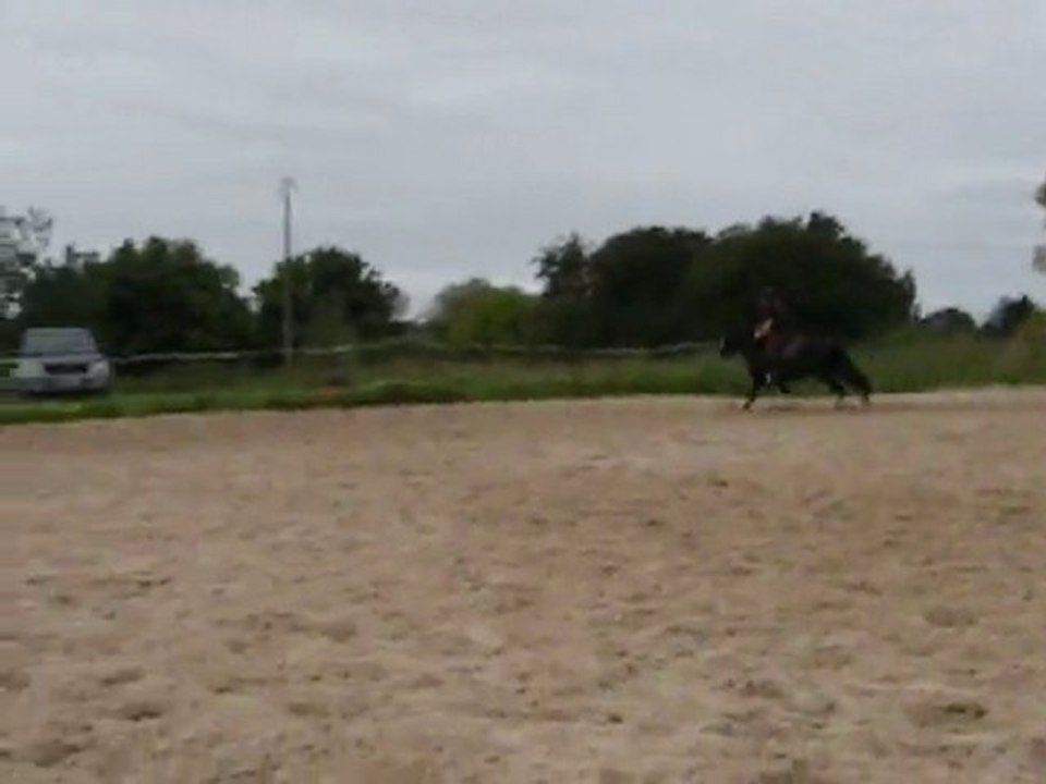 Bubu et émilie