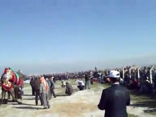 Torbalı 7. Deve Güreşi Festivaline Ziyaretimiz - 06.02.2011 1