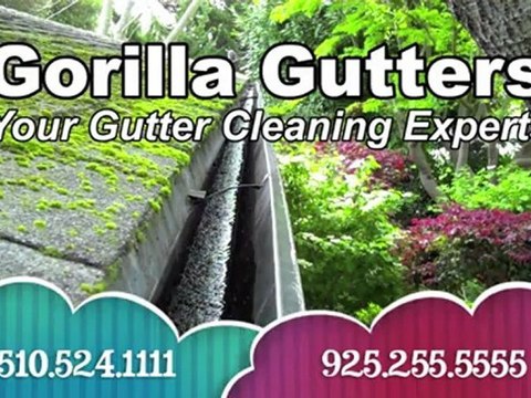 Gutter Cleaning Company in Berkeley
