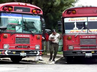 Download Video: Los conductores de autobús en Guatemala son presa de pandilleros