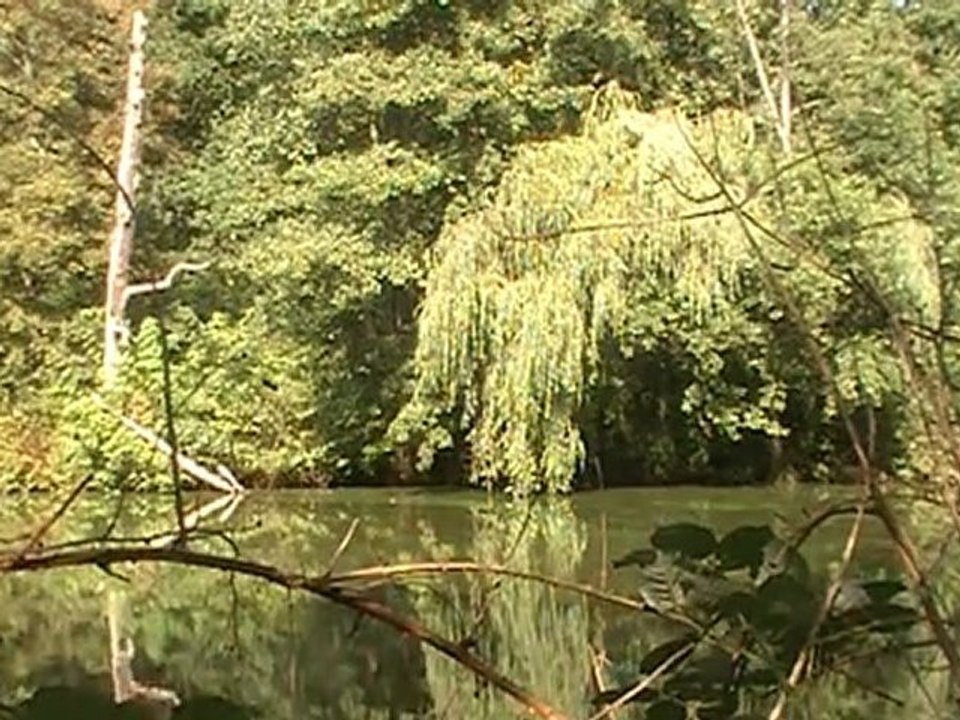 Weiher