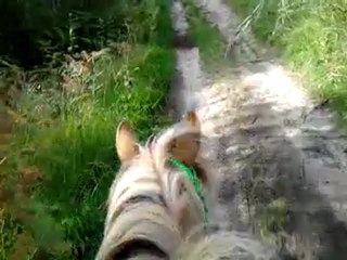 Pilou traversé gué