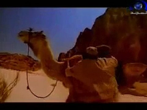 Pas de divinité à part Allah, Mohammad est le Messager d'Allah