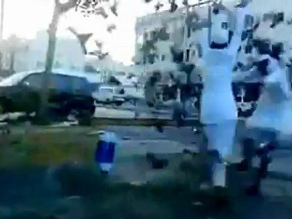 Vögel verjagen - FAIL