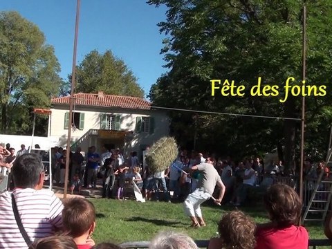Fête des foins - Montfavet 2011