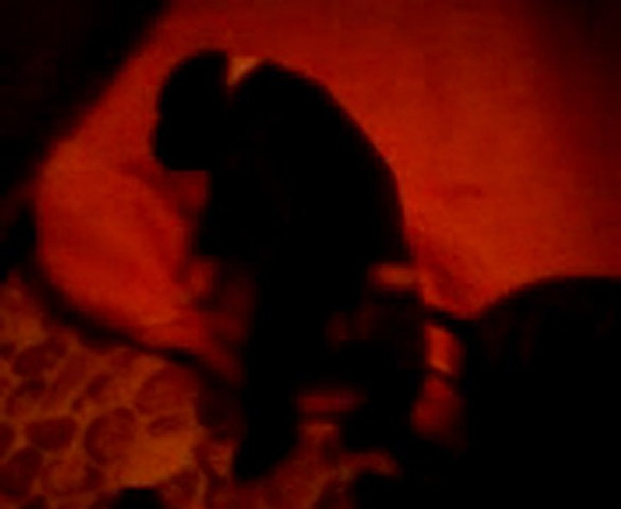 Vidéo des chiots staffie de STAFFORDLAND le 08.09.2011