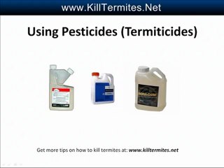 4 Easy Methods To Extaminate Termites.