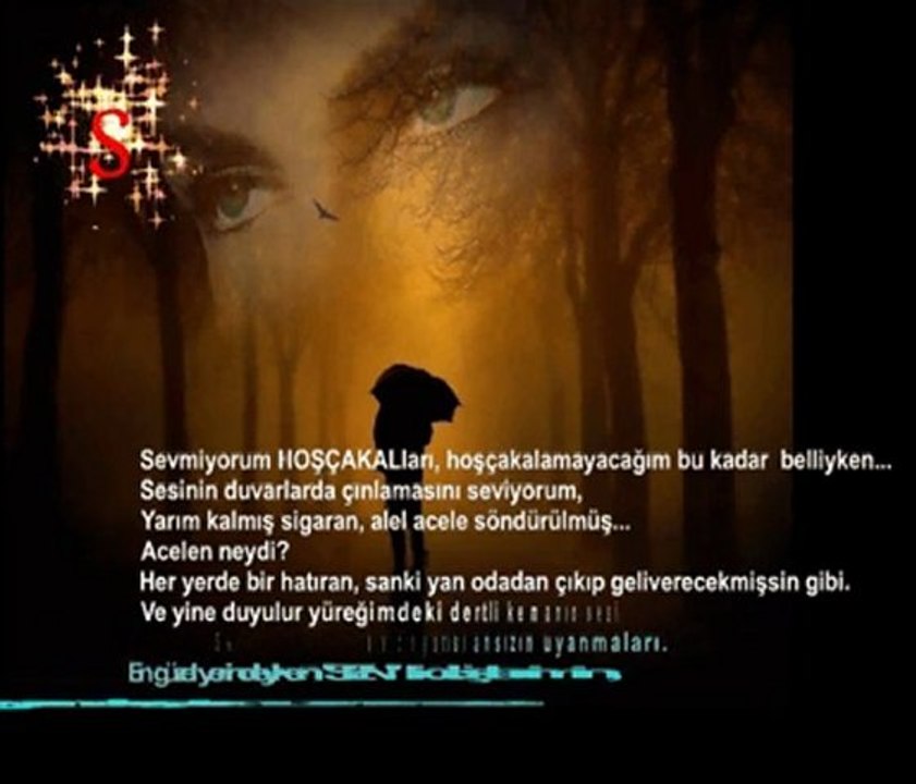 SEV(M)İYORUM-Şiir ve yorum:SESSİZ PERİ