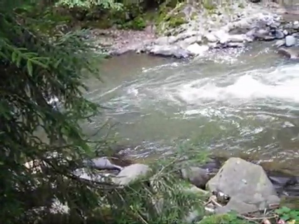 River Borjomula