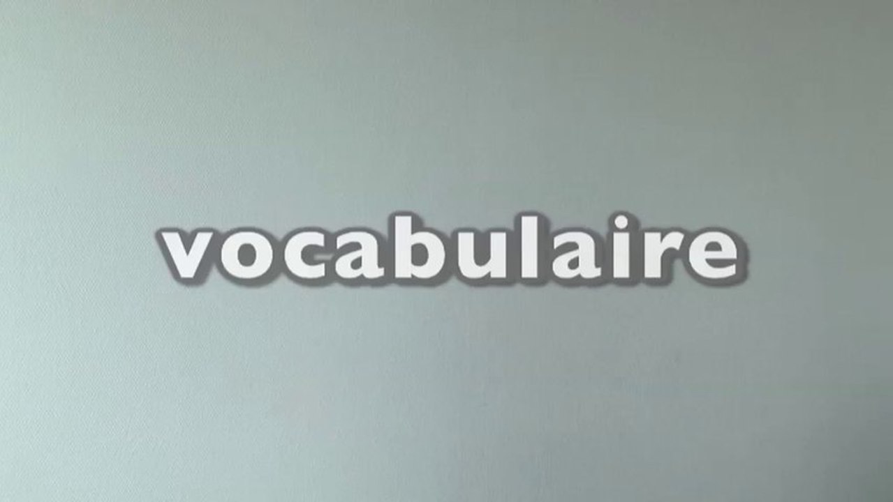 Apprendre la langue des signes LSF : vocabulaire, respect, à bientôt, à demain, oui, en forme, bof, ah bon ! politesse, bonne nuit  mdd tv