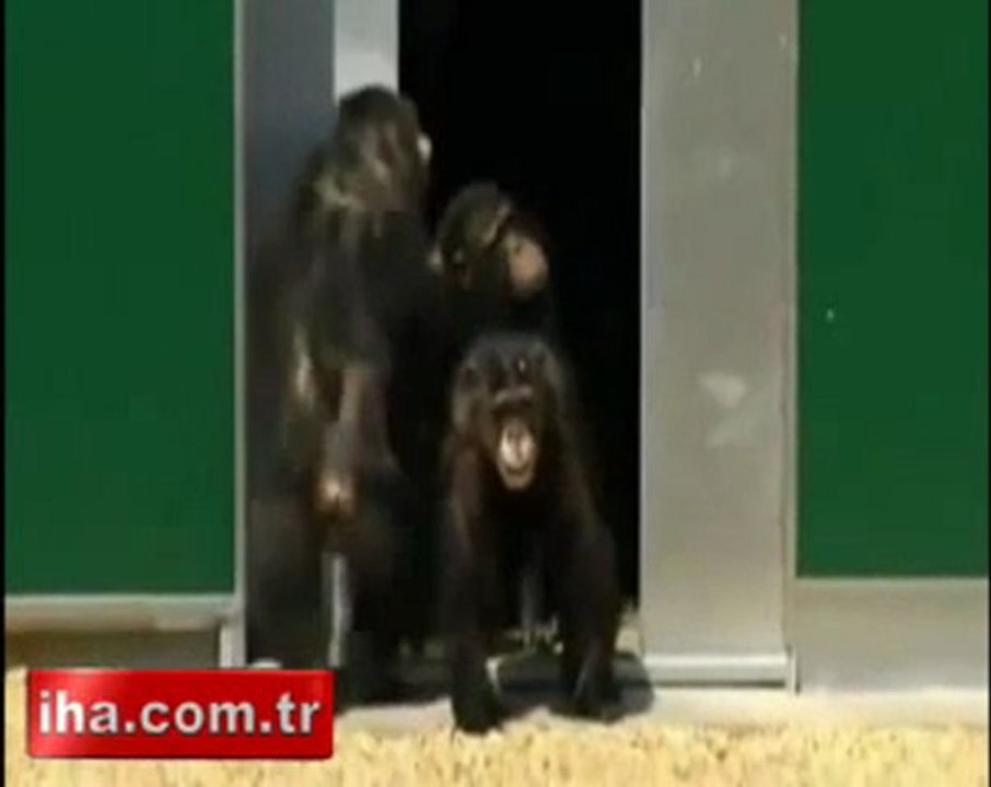 Video Galeri - Haber7 haber7.com - Güncel Haberler, Son dakika haberleri ---- Bu noktada haber var