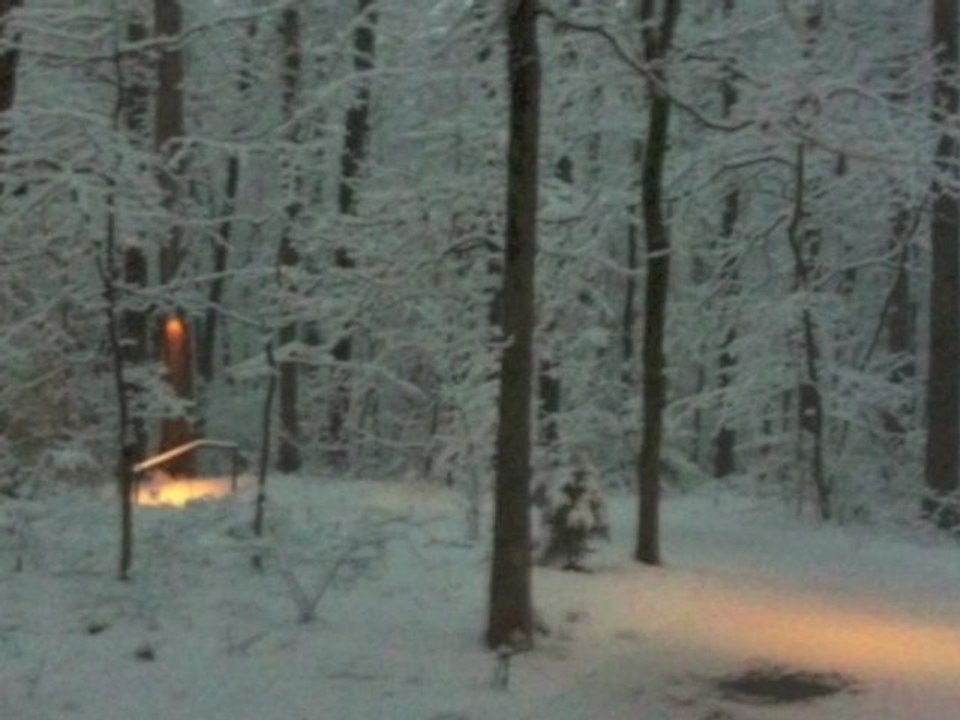 athens ga city guide - vidatown athens ga video - day chapel tour  - ga state botanical gardens