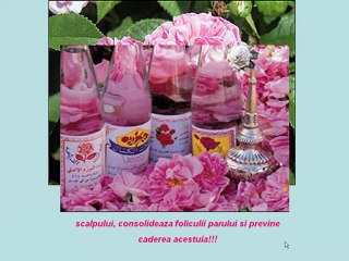 Apa De Trandafiri - Afacere Sau Sanatate