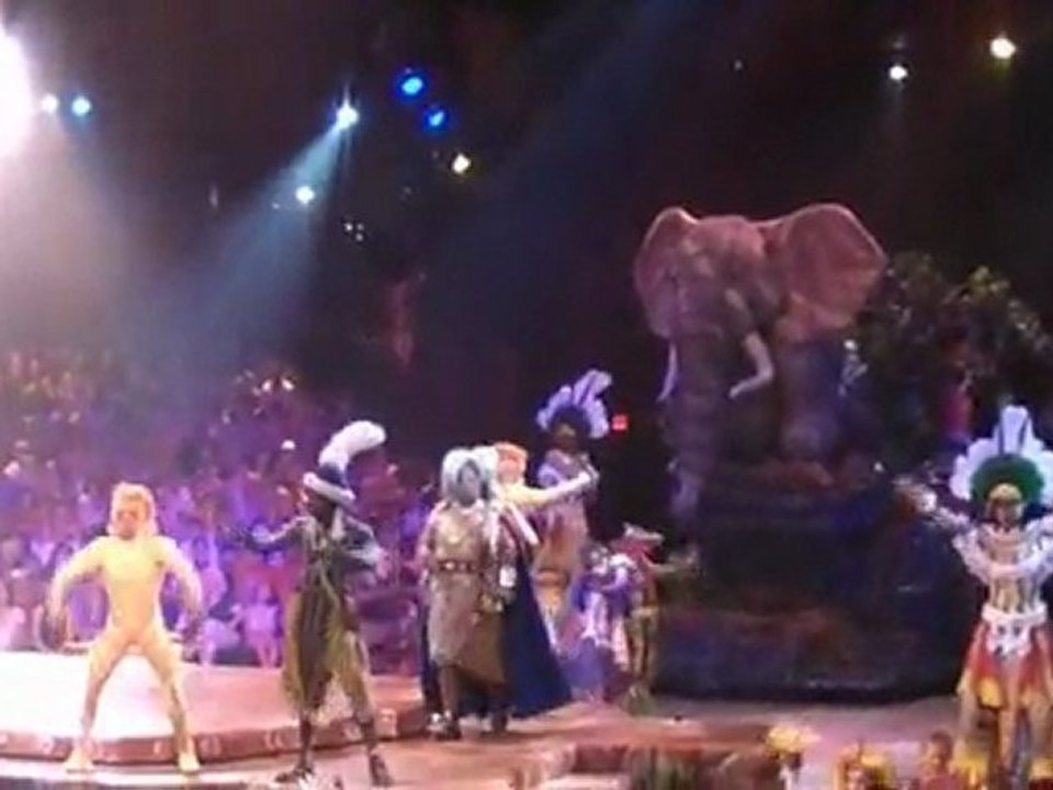 Le ROI LION /  The lion king   ( SPECTACLE )