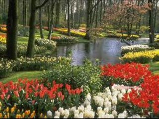 doyamadım gözlerine