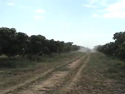 FOR FRUIT FARMS, agribusiness and fish farming, SHEEP AND OTHER ANIMALS IN BRAZIL-SAN FRANCISCO VALLEY, GREATER PRODUTR CENTER OF FRUIT IN BRAZIL