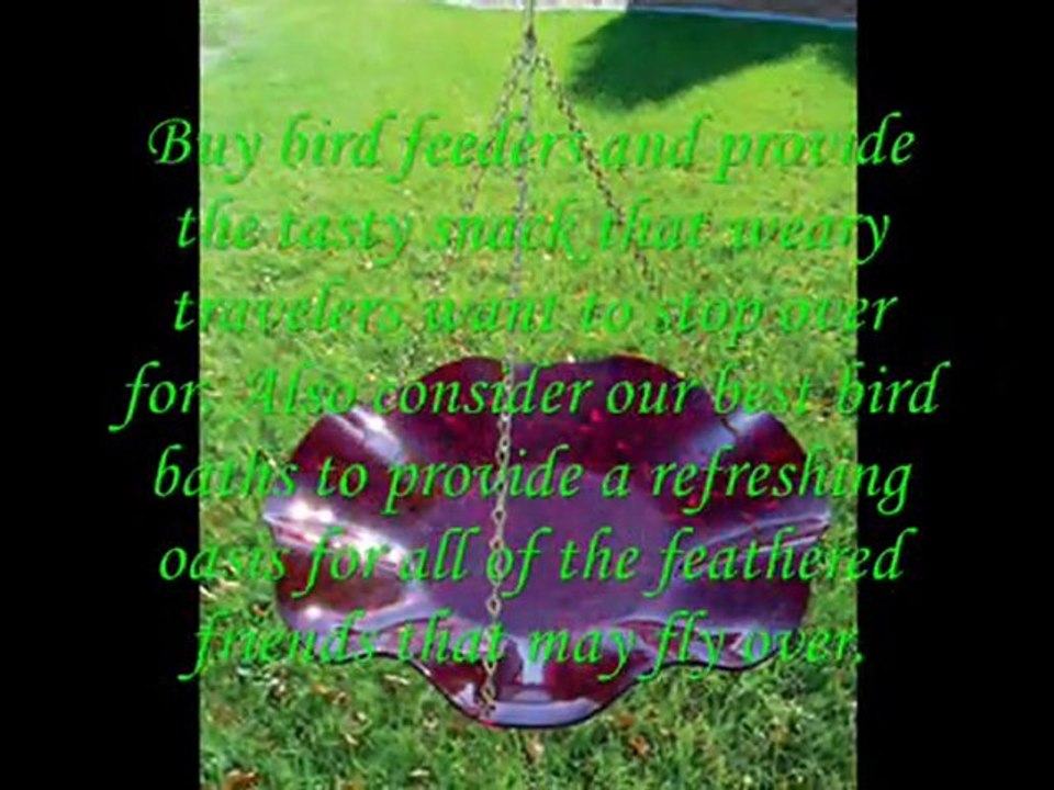 www.naturesbirdcam.com