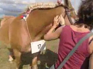 1 er prix aux agri folies de laissac !!!