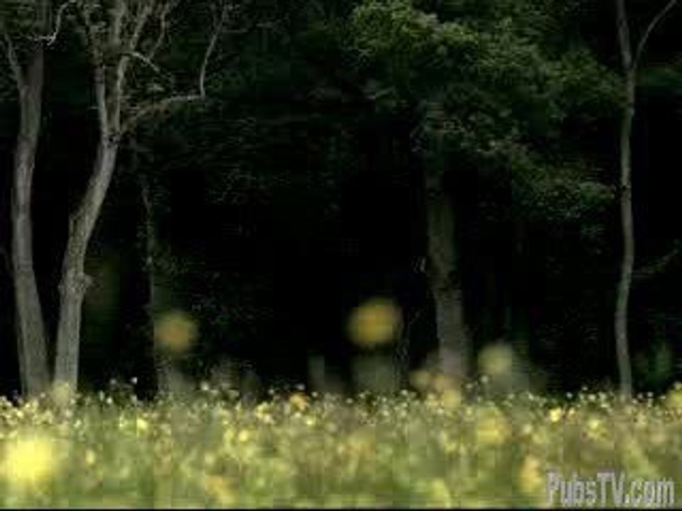 silence
